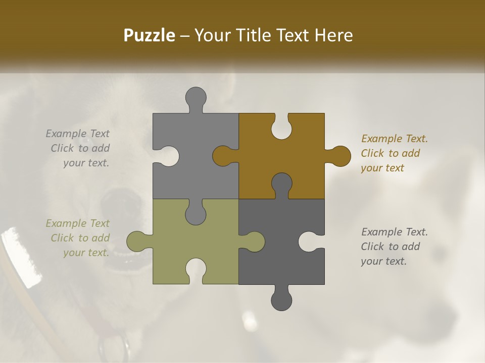 Two Husky Dogs In The Snow Powerpoint Template PowerPoint Template