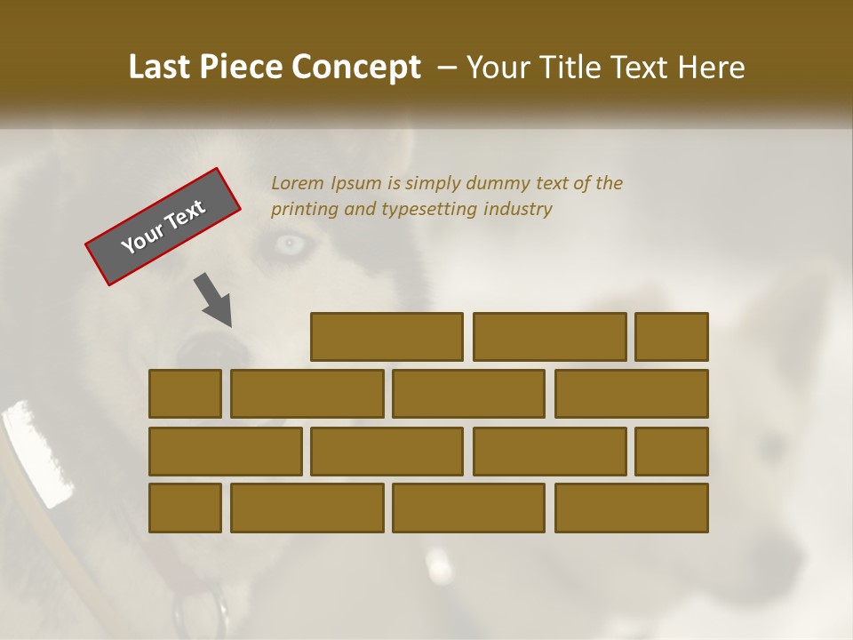 Two Husky Dogs In The Snow Powerpoint Template PowerPoint Template