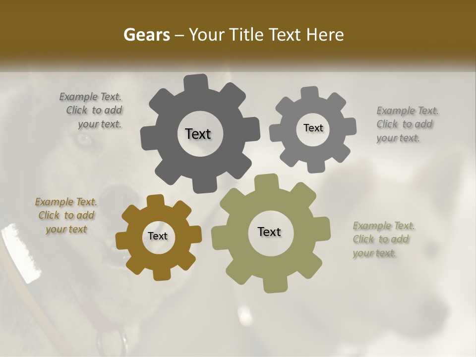 Two Husky Dogs In The Snow Powerpoint Template PowerPoint Template