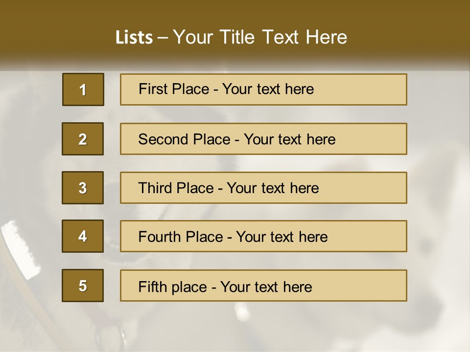 Two Husky Dogs In The Snow Powerpoint Template PowerPoint Template