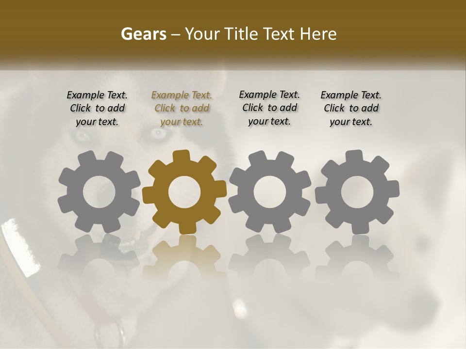 Two Husky Dogs In The Snow Powerpoint Template PowerPoint Template