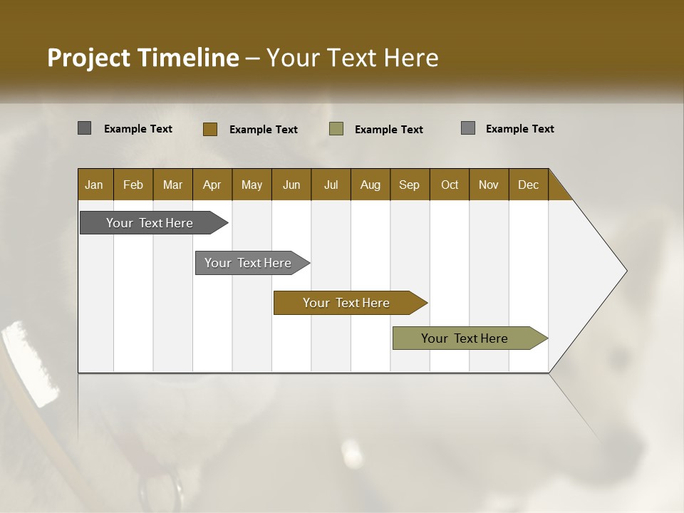 Two Husky Dogs In The Snow Powerpoint Template PowerPoint Template