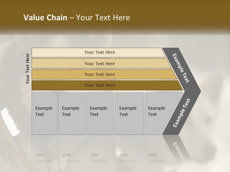 Two Husky Dogs In The Snow Powerpoint Template PowerPoint Template