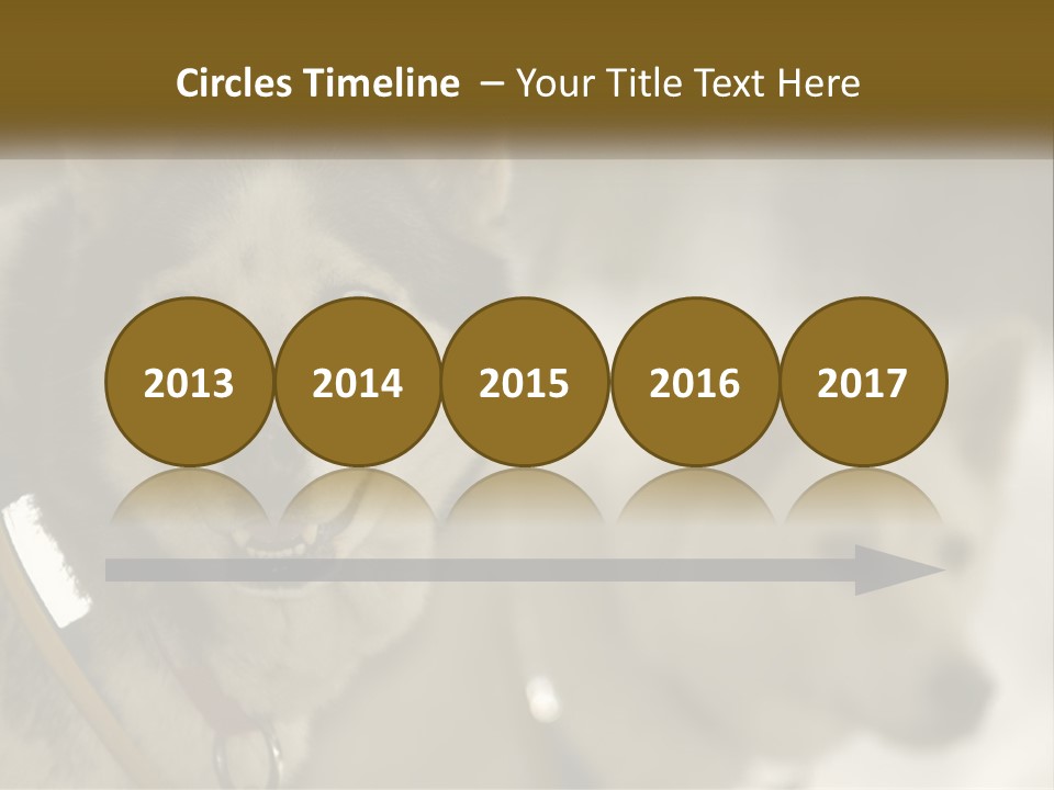 Two Husky Dogs In The Snow Powerpoint Template PowerPoint Template