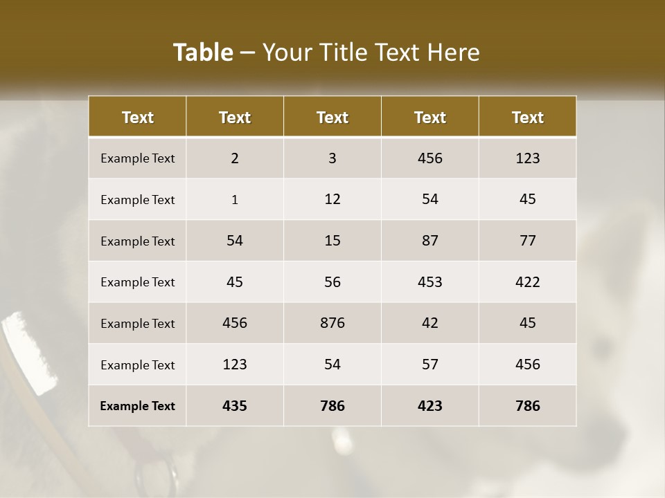 Two Husky Dogs In The Snow Powerpoint Template PowerPoint Template