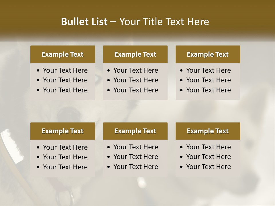 Two Husky Dogs In The Snow Powerpoint Template PowerPoint Template