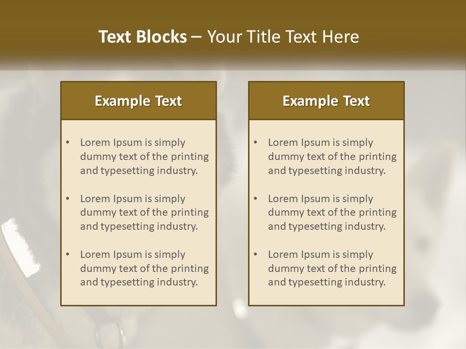 Two Husky Dogs In The Snow Powerpoint Template PowerPoint Template