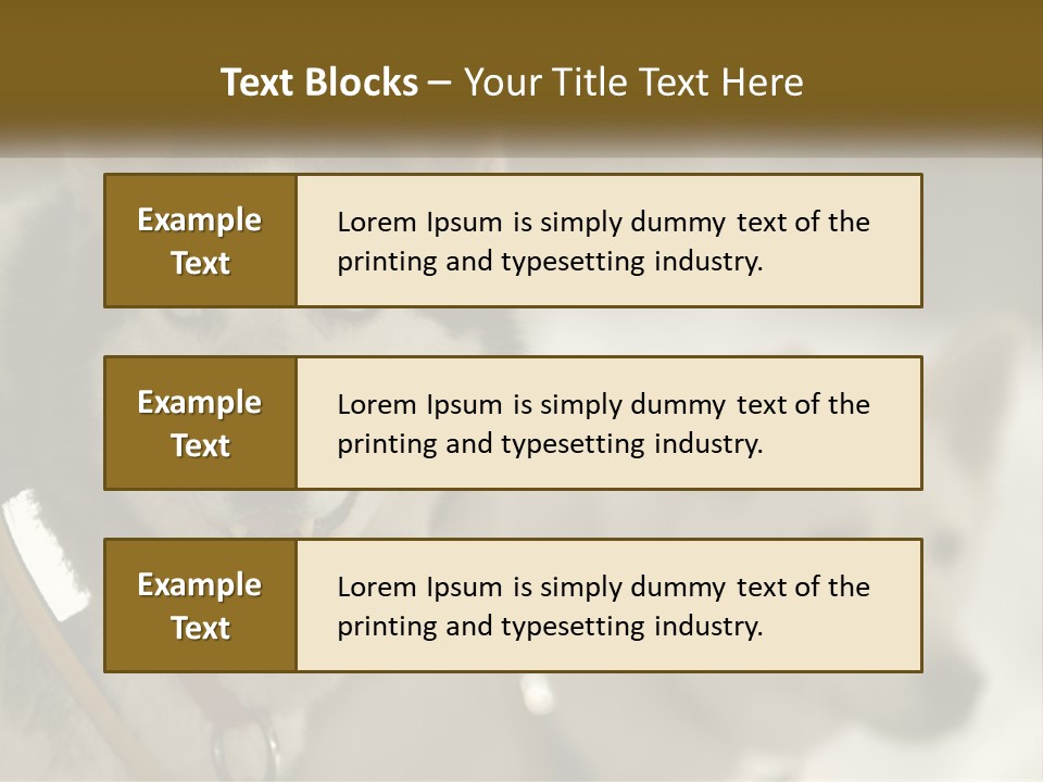 Two Husky Dogs In The Snow Powerpoint Template PowerPoint Template