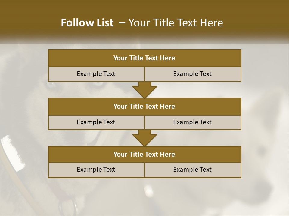 Two Husky Dogs In The Snow Powerpoint Template PowerPoint Template