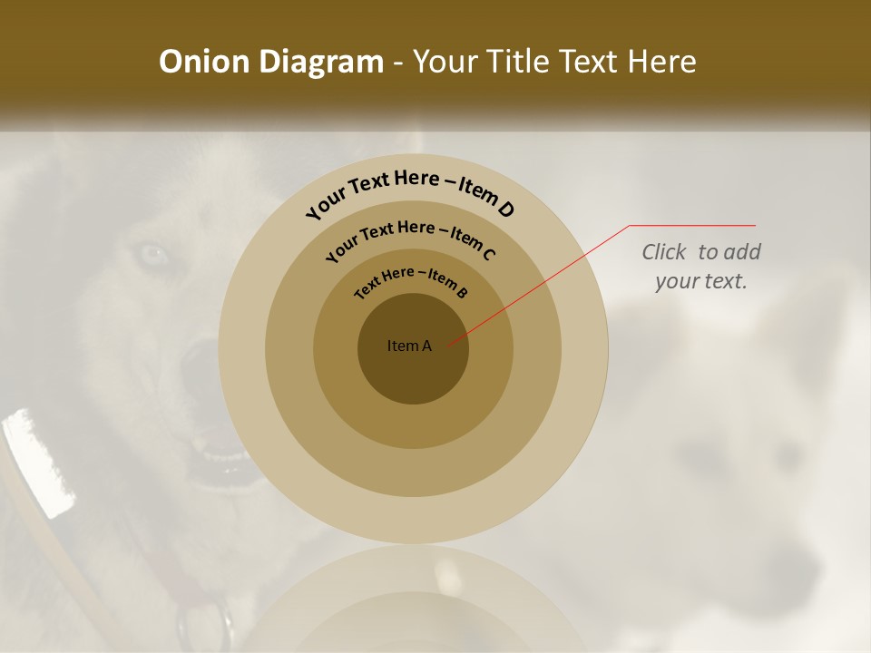 Two Husky Dogs In The Snow Powerpoint Template PowerPoint Template