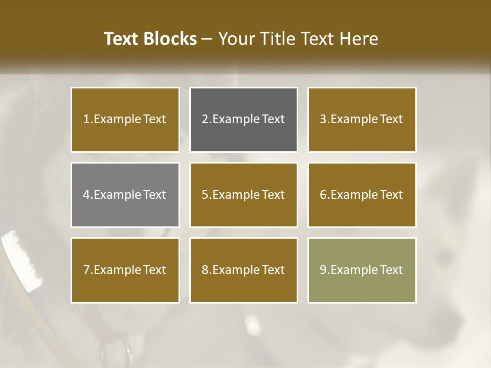 Two Husky Dogs In The Snow Powerpoint Template PowerPoint Template