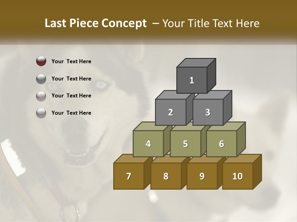 Two Husky Dogs In The Snow Powerpoint Template PowerPoint Template