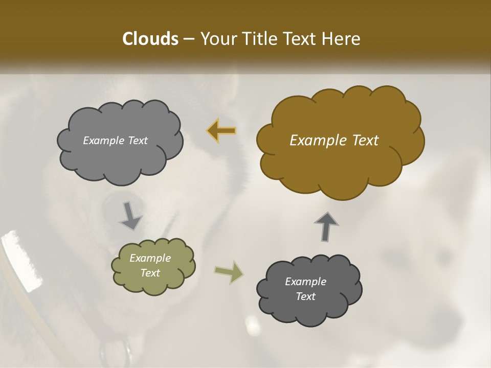 Two Husky Dogs In The Snow Powerpoint Template PowerPoint Template