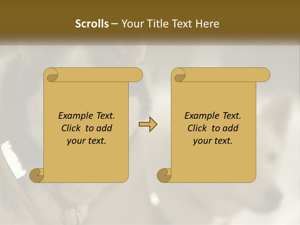 Two Husky Dogs In The Snow Powerpoint Template PowerPoint Template