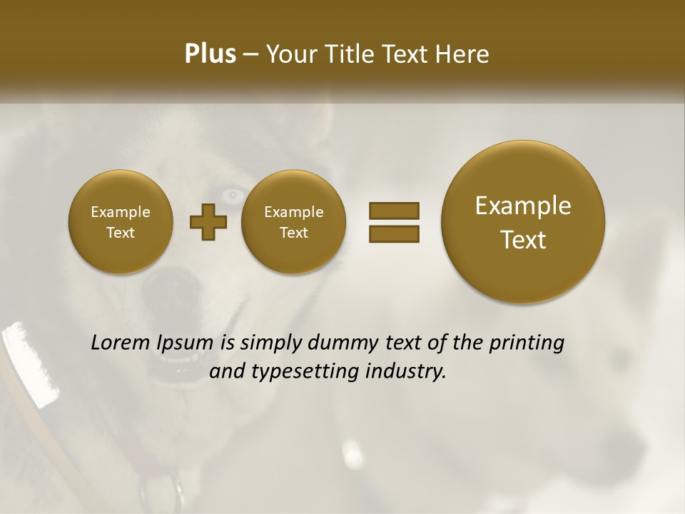 Two Husky Dogs In The Snow Powerpoint Template PowerPoint Template