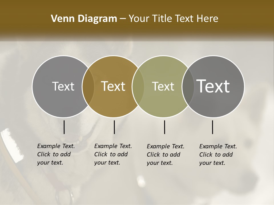 Two Husky Dogs In The Snow Powerpoint Template PowerPoint Template