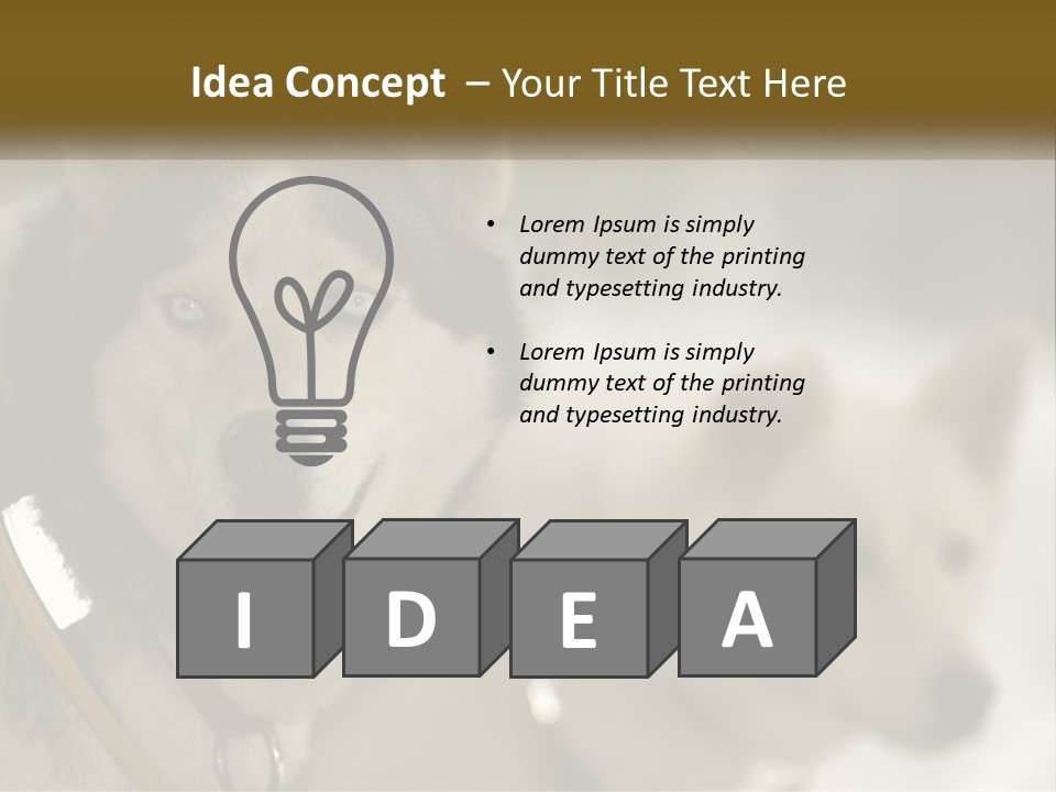 Two Husky Dogs In The Snow Powerpoint Template PowerPoint Template