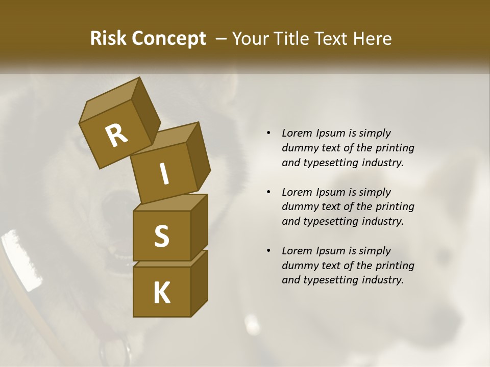 Two Husky Dogs In The Snow Powerpoint Template PowerPoint Template