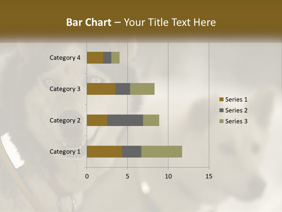 Two Husky Dogs In The Snow Powerpoint Template PowerPoint Template