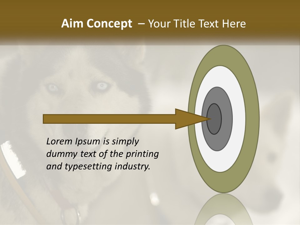 Two Husky Dogs In The Snow Powerpoint Template PowerPoint Template