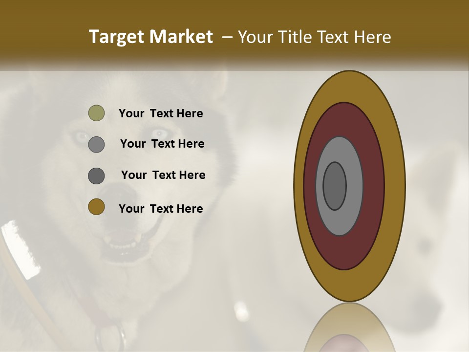 Two Husky Dogs In The Snow Powerpoint Template PowerPoint Template