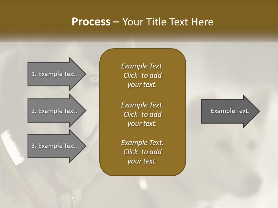 Two Husky Dogs In The Snow Powerpoint Template PowerPoint Template