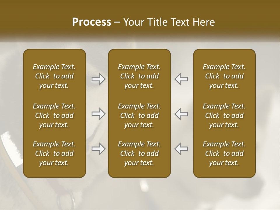 Two Husky Dogs In The Snow Powerpoint Template PowerPoint Template
