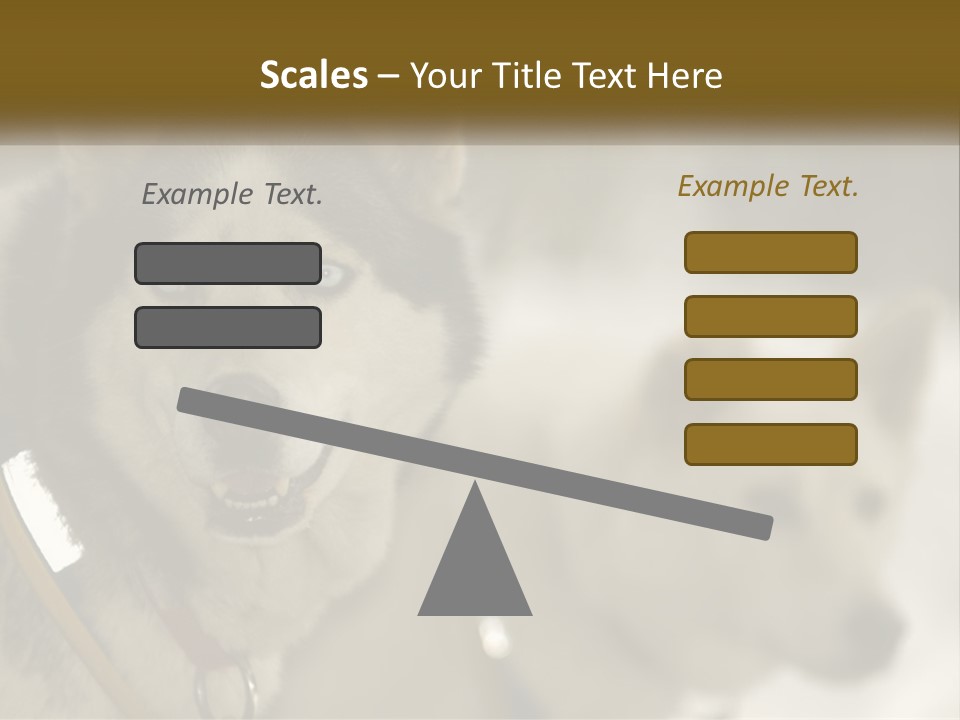 Two Husky Dogs In The Snow Powerpoint Template PowerPoint Template