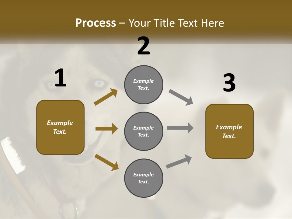 Two Husky Dogs In The Snow Powerpoint Template PowerPoint Template