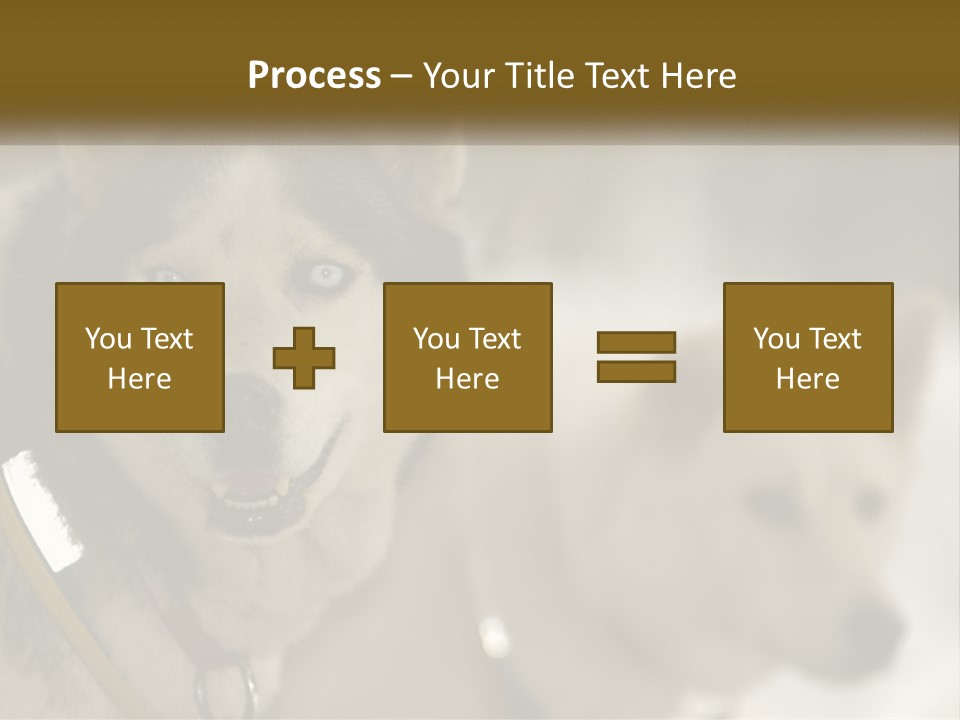 Two Husky Dogs In The Snow Powerpoint Template PowerPoint Template