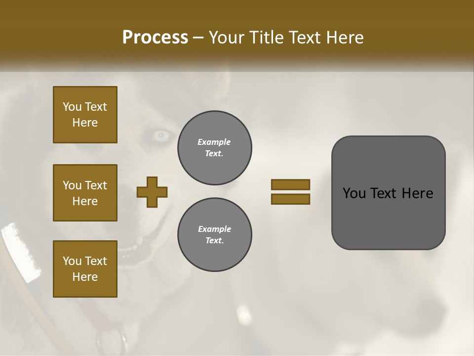 Two Husky Dogs In The Snow Powerpoint Template PowerPoint Template