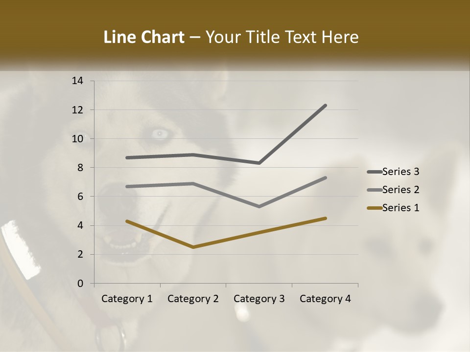 Two Husky Dogs In The Snow Powerpoint Template PowerPoint Template