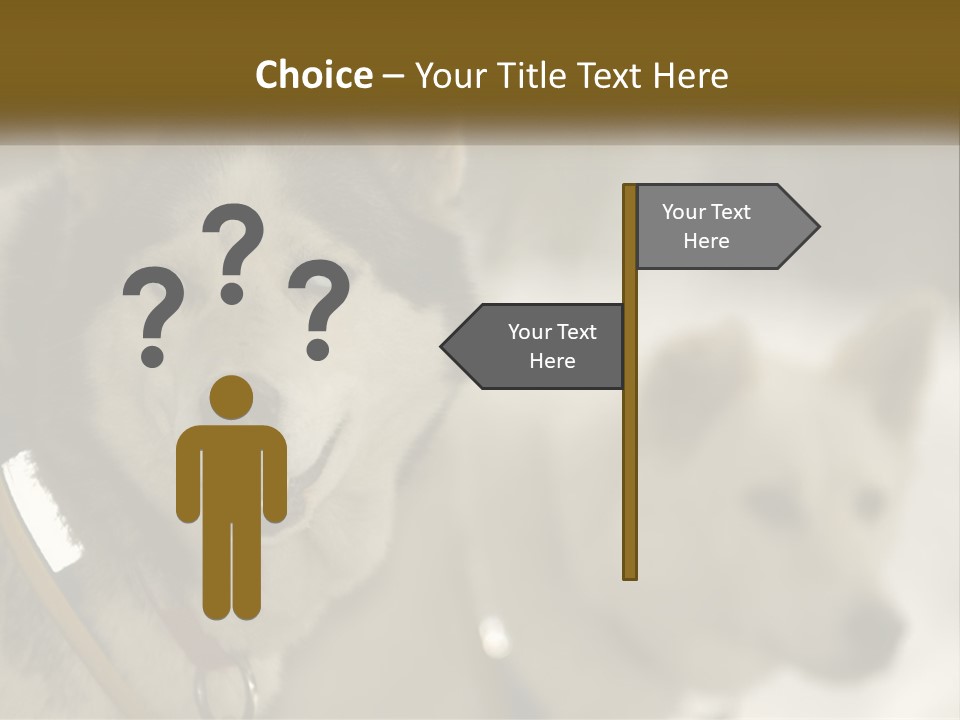 Two Husky Dogs In The Snow Powerpoint Template PowerPoint Template