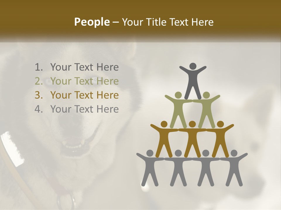 Two Husky Dogs In The Snow Powerpoint Template PowerPoint Template