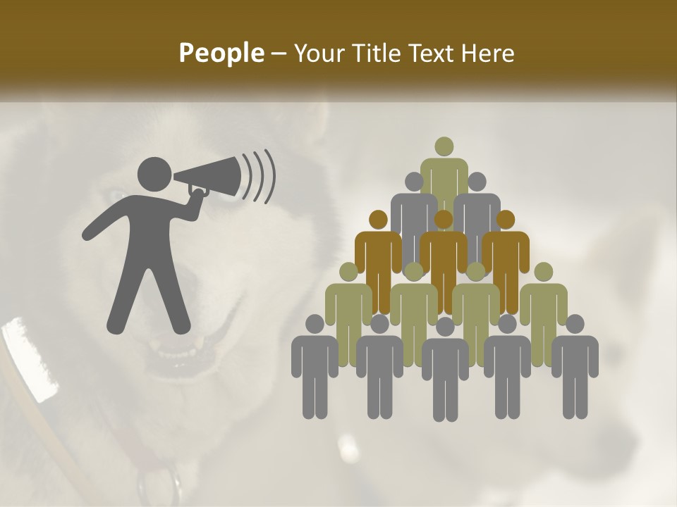 Two Husky Dogs In The Snow Powerpoint Template PowerPoint Template