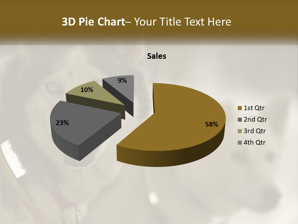 Two Husky Dogs In The Snow Powerpoint Template PowerPoint Template