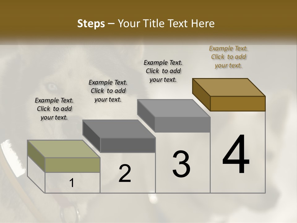 Two Husky Dogs In The Snow Powerpoint Template PowerPoint Template