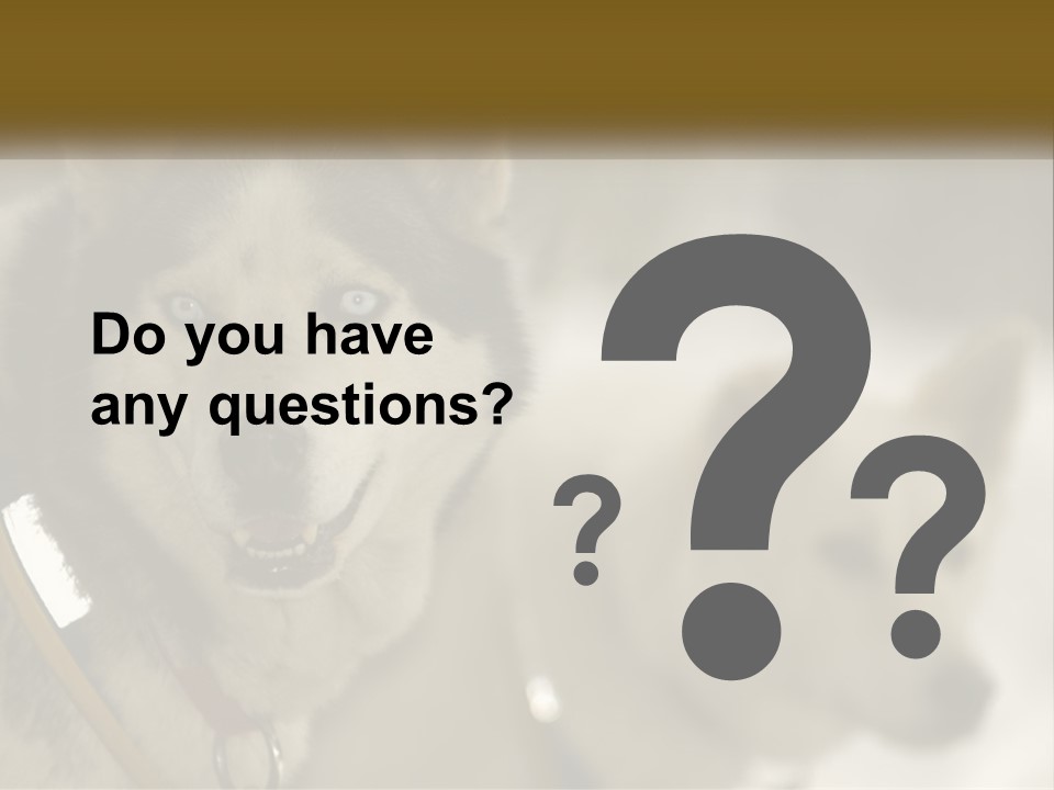 Two Husky Dogs In The Snow Powerpoint Template PowerPoint Template