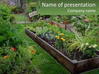 A Garden Filled With Lots Of Different Types Of Plants PowerPoint Template