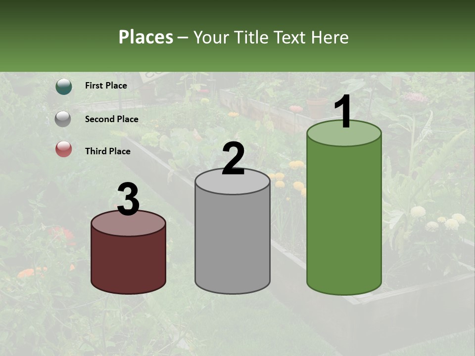 A Garden Filled With Lots Of Different Types Of Plants PowerPoint Template