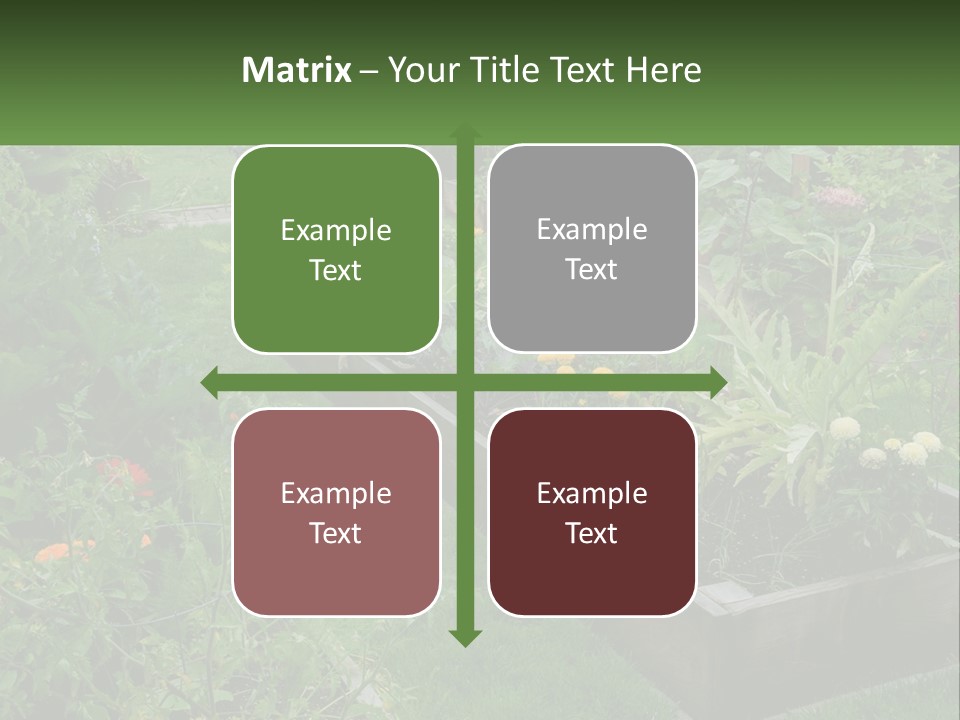 A Garden Filled With Lots Of Different Types Of Plants PowerPoint Template