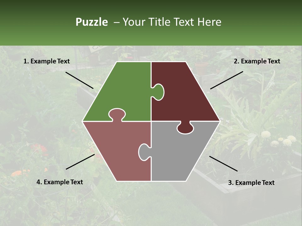 A Garden Filled With Lots Of Different Types Of Plants PowerPoint Template