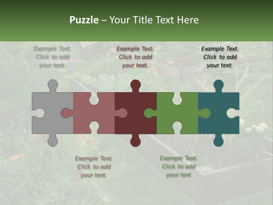 A Garden Filled With Lots Of Different Types Of Plants PowerPoint Template