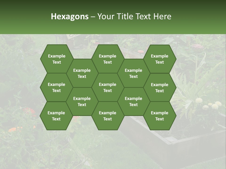 A Garden Filled With Lots Of Different Types Of Plants PowerPoint Template