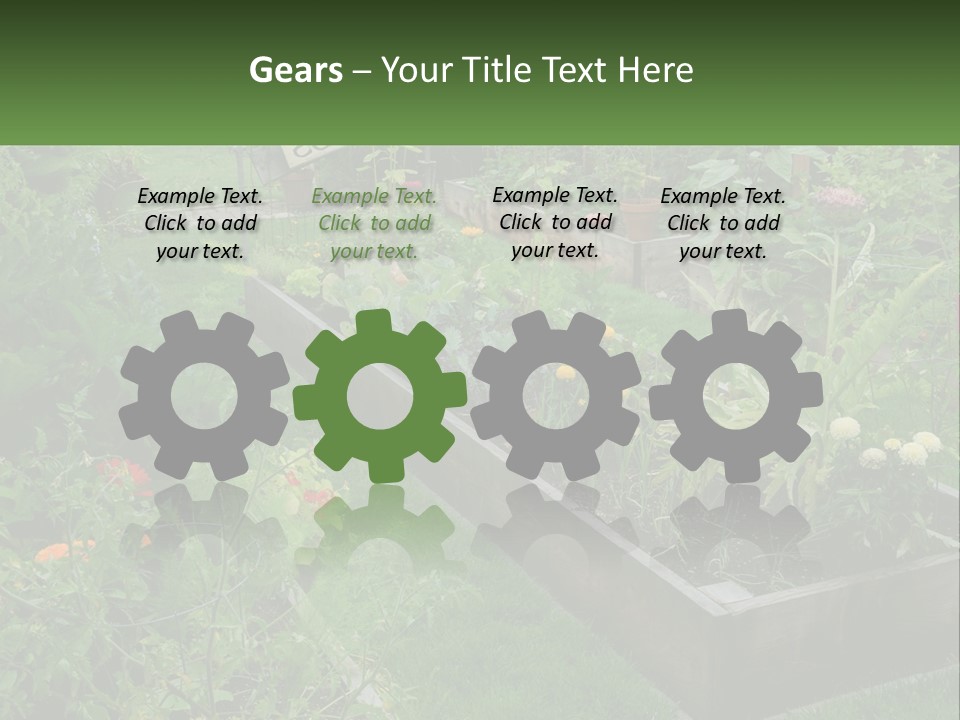 A Garden Filled With Lots Of Different Types Of Plants PowerPoint Template