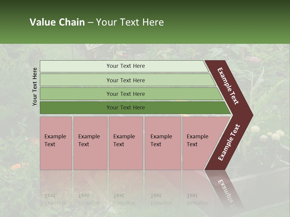 A Garden Filled With Lots Of Different Types Of Plants PowerPoint Template