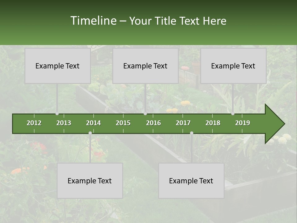 A Garden Filled With Lots Of Different Types Of Plants PowerPoint Template