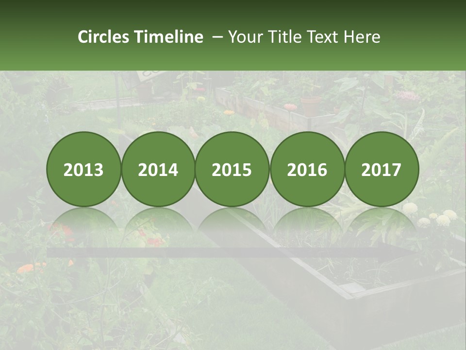 A Garden Filled With Lots Of Different Types Of Plants PowerPoint Template