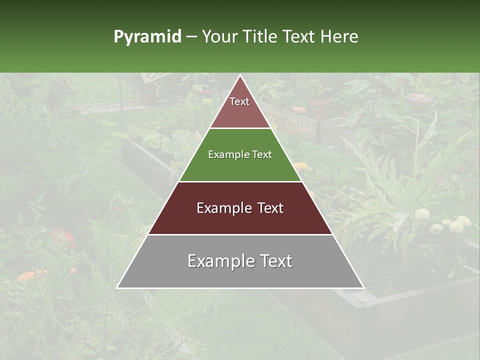 A Garden Filled With Lots Of Different Types Of Plants PowerPoint Template