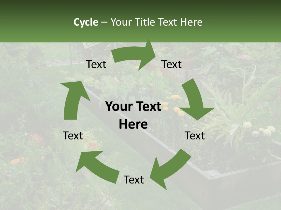 A Garden Filled With Lots Of Different Types Of Plants PowerPoint Template